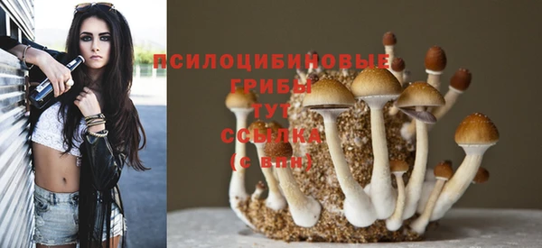 гидра Козловка
