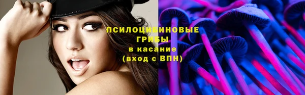 крисы Козельск