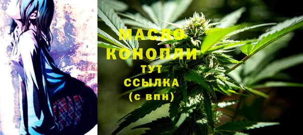 крисы Козельск