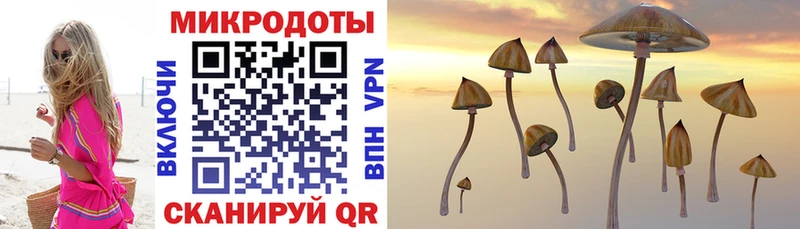 Галлюциногенные грибы прущие грибы  Красный Сулин 